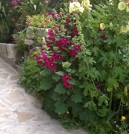 Walmar Guest house